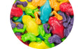 Tropical Frogs