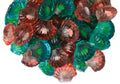 3D Filled Gummy Seashells